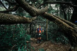 BIB: 
                            <button type="button" onclick="openModal(25705213)" class="btn btn-primary btn-sm float-right btn-popup" data-toggle="modal" data-target=".modal-high-quality">
                        <i class="fas fa-shopping-cart"></i> Add to Cart
                    </button>
                                            <button type="button" onclick="isThisMe(25705213, true)" class="btn btn-success btn-sm float-right btn-popup btn-isme hidden" data-toggle="tooltip" data-placement="bottom" title="นี่คือรูปของคุณใช่ไหม คลิกที่นี่เพื่อเอาเข้าอัลบั้ม">
                        <i class="fas fa-plus"></i> Add to album
                    </button>
                    <button type="button" onclick="isThisMe(25705213, false)" class="btn btn-warning btn-sm float-right btn-popup btn-isnotme hidden">
                        <i class="fas fa-ban"></i> Remove from album
                    </button>